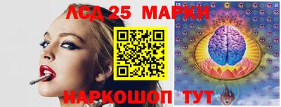 гидропоника Волжск