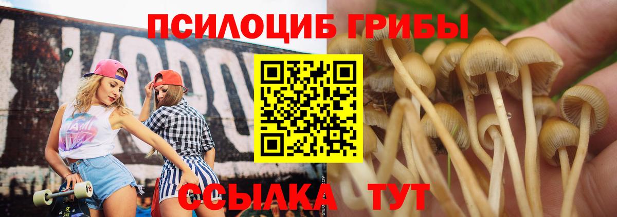 купить   Псилоцибиновые грибы прущие грибы  Вход с VPN  Томск 