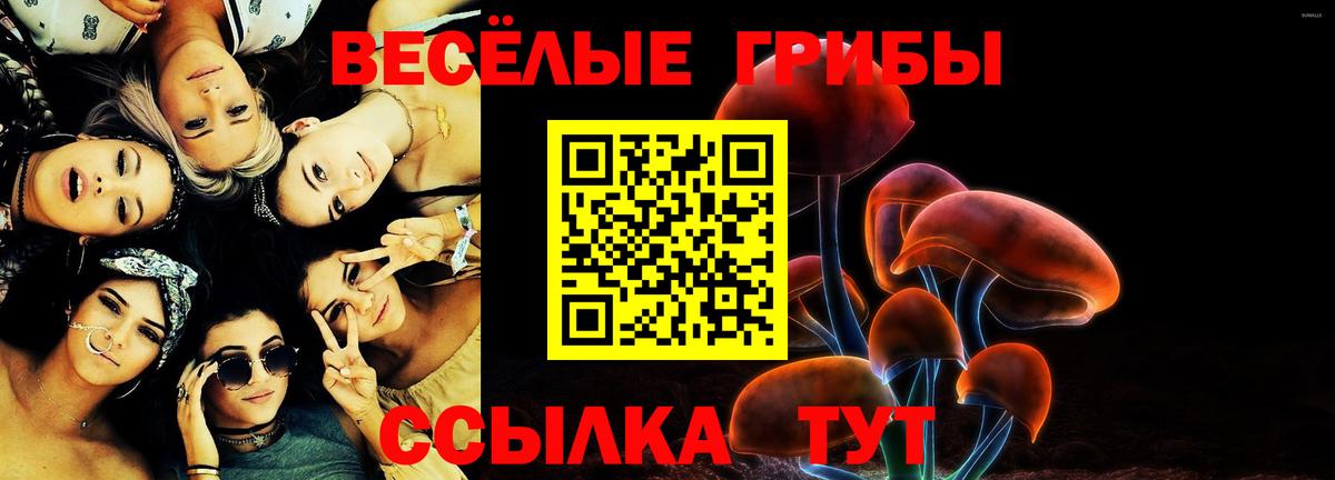 Галлюциногенные грибы MAGIC MUSHROOMS Томск